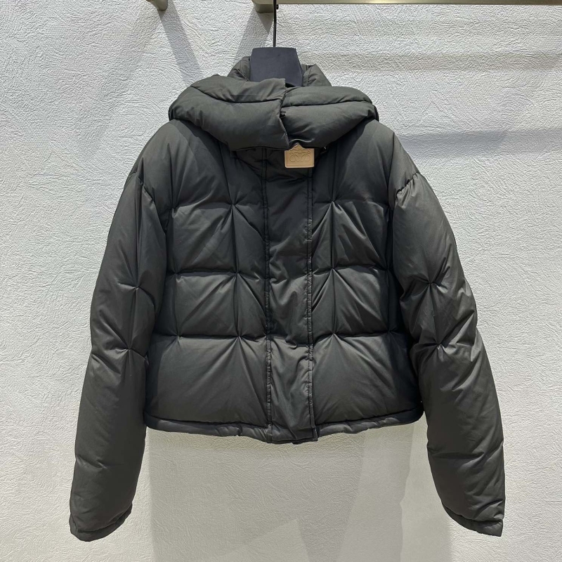 l*ew* down coat